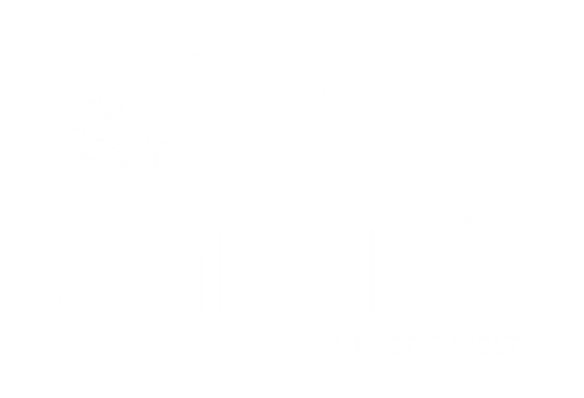 Schweizer Family Online Store Babylux